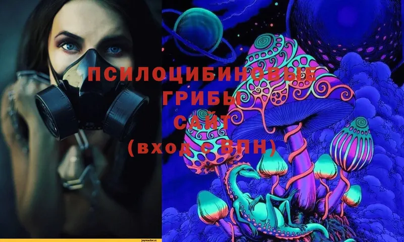 Псилоцибиновые грибы MAGIC MUSHROOMS  цена   Белокуриха 